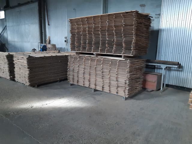 Oak Lamella 3